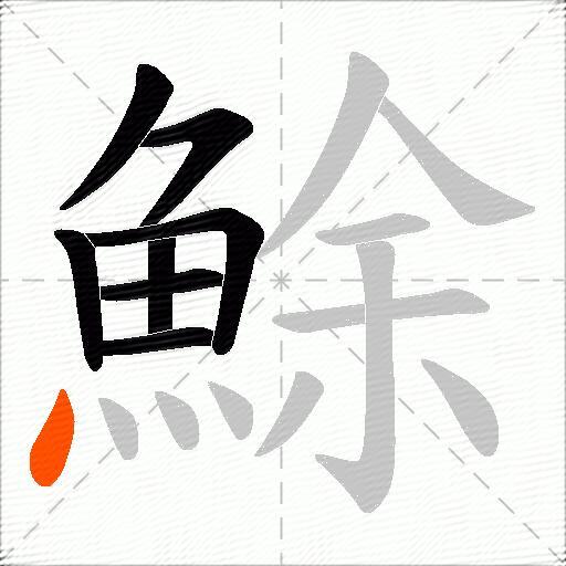 鮽