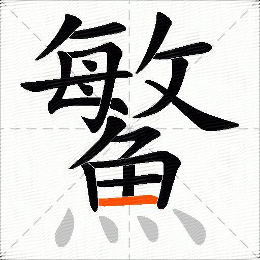 鰵