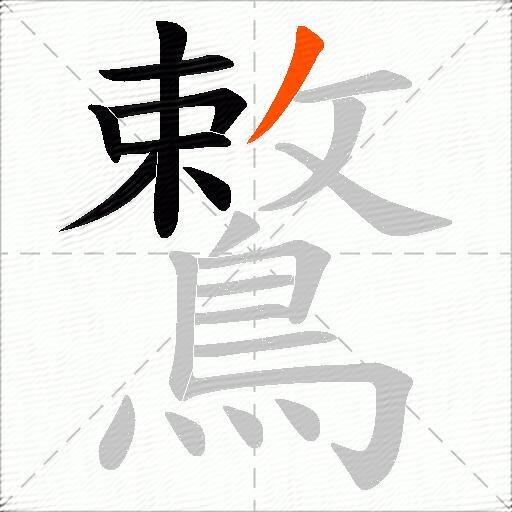 鷘