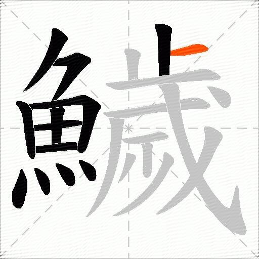 鱥