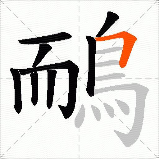 鴯