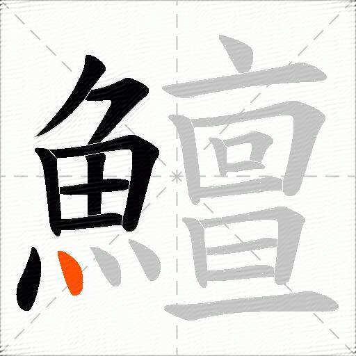 鱣