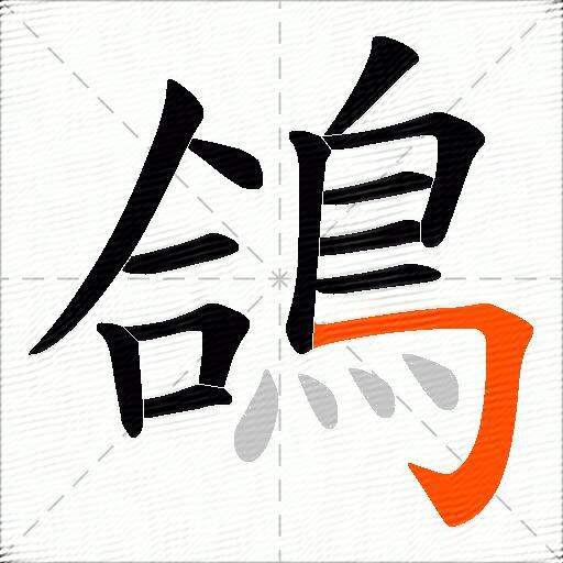 鴿