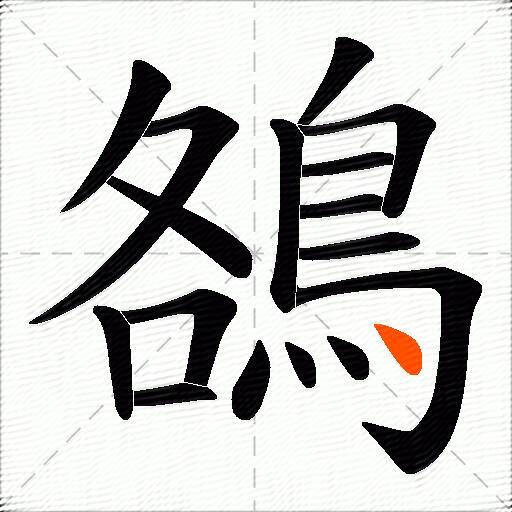 鵅