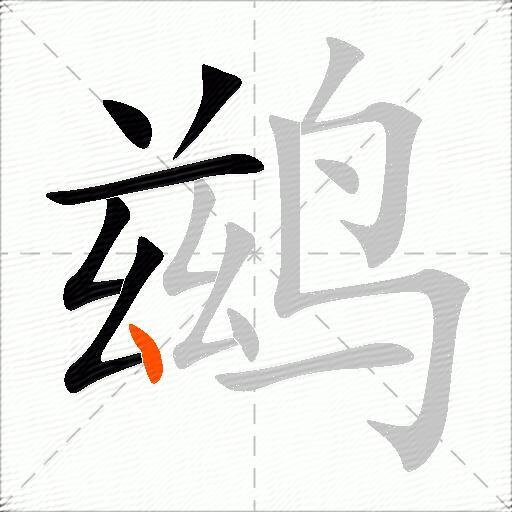 鹚