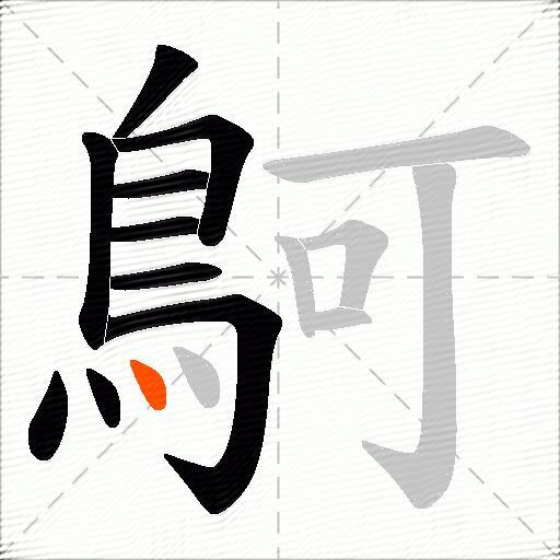 鴚
