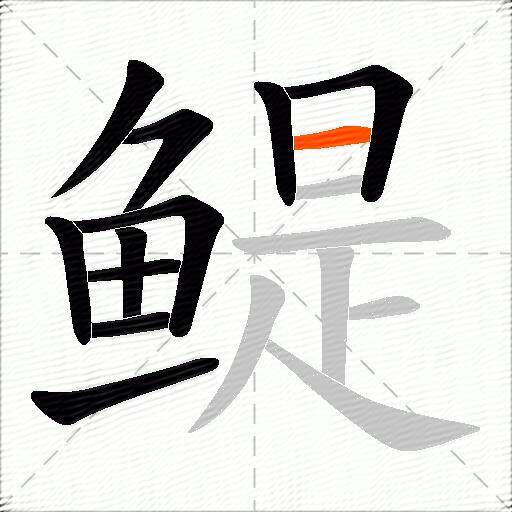 鳀