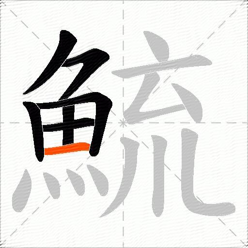 鯍