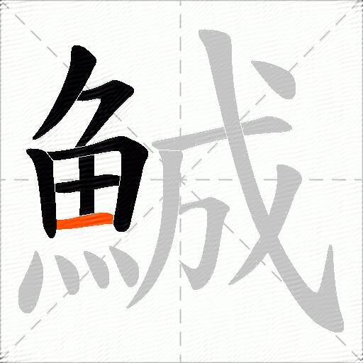 鯎