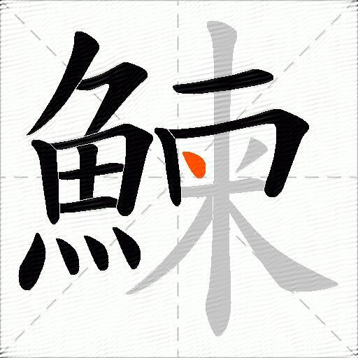 鰊