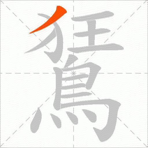 鵟