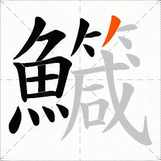 鱵