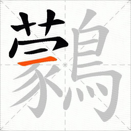 鸏