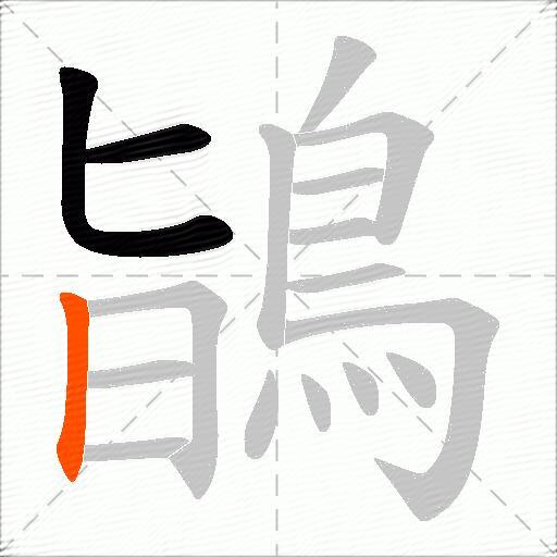 鴲