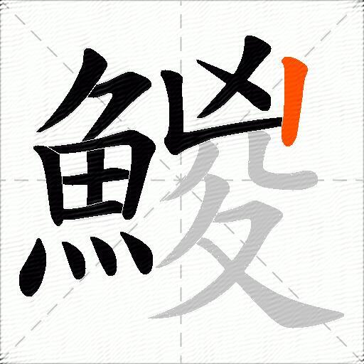 鯼