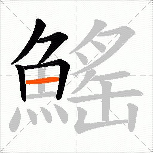 鰩
