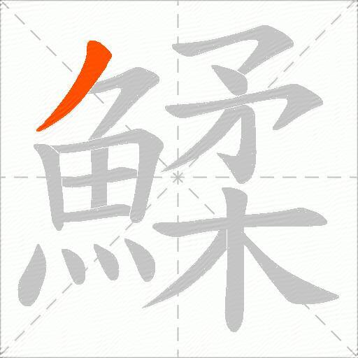 鰇
