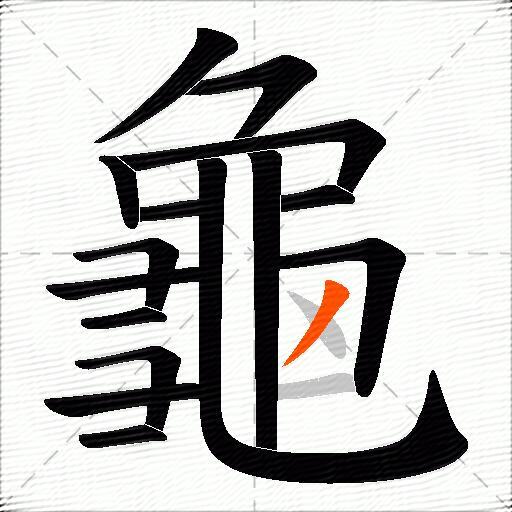 龜