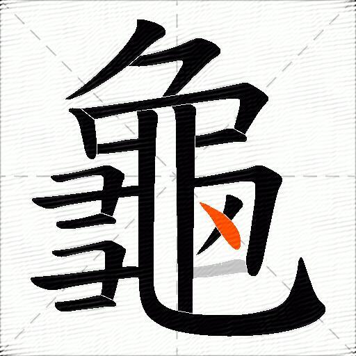 龜