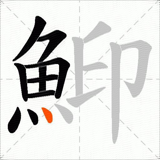 鮣