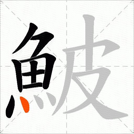 鮍