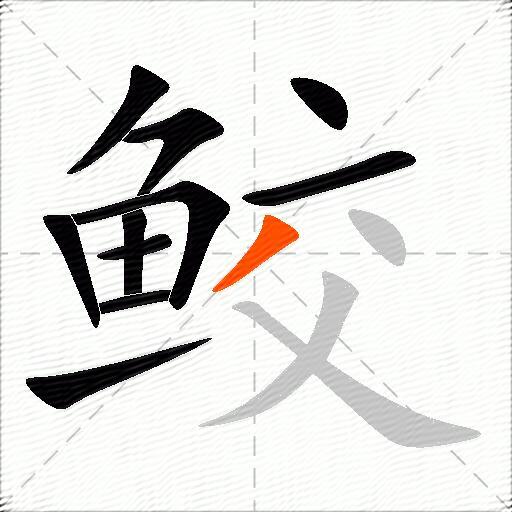 鲛