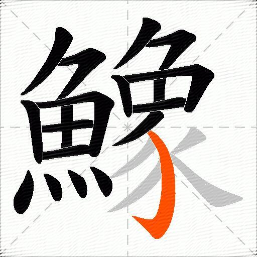 鱌