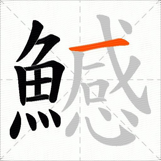 鱤
