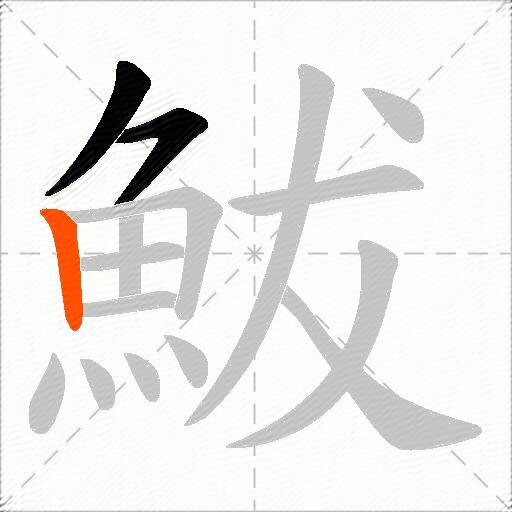 鮁