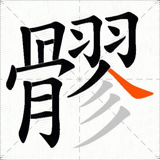 髎