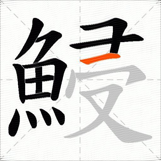 鮼