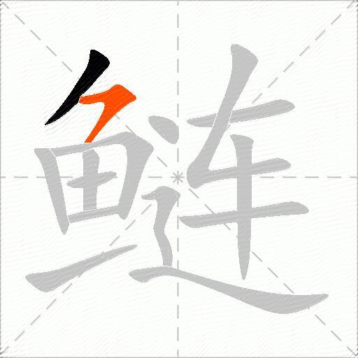 鲢