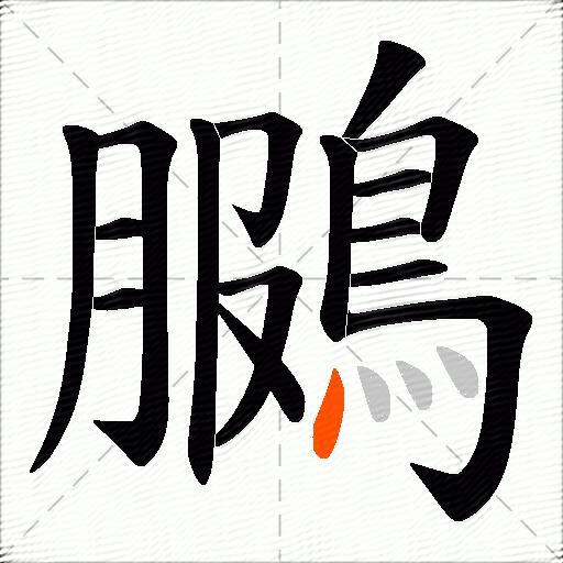 鵩
