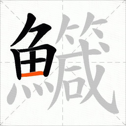 鱵