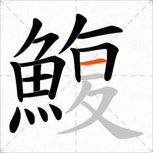 鰒