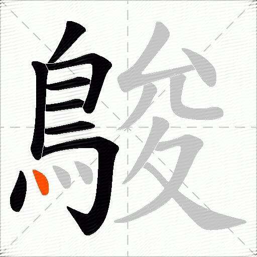 鵔