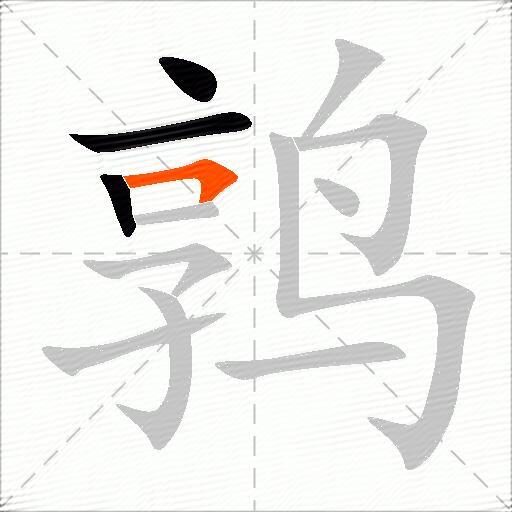 鹑