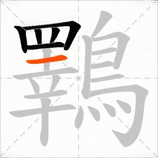 鸅