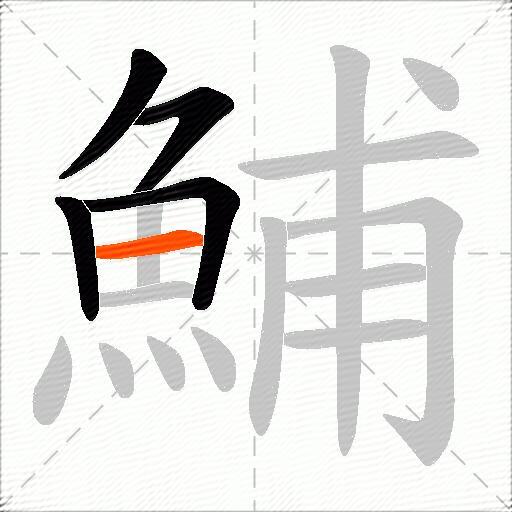 鯆