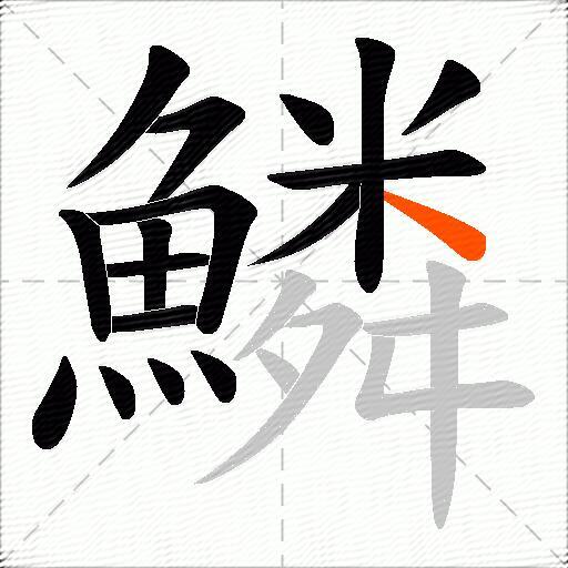 鱗