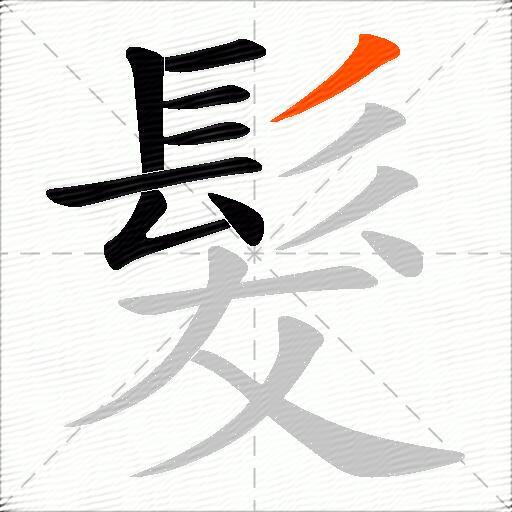 髮