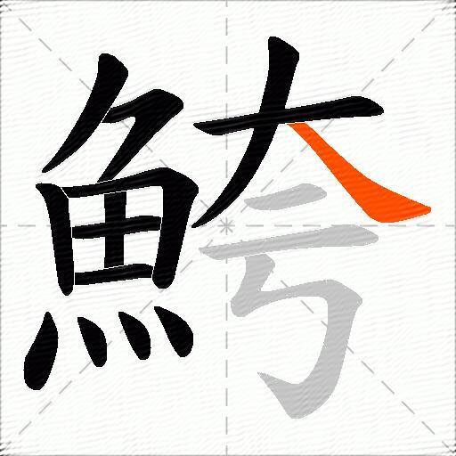 鮬