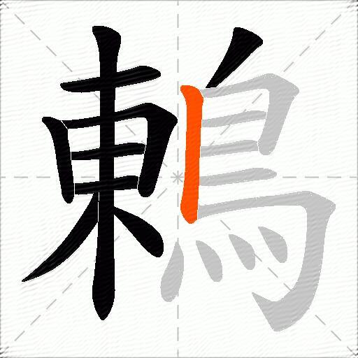 鶇