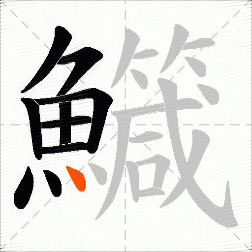 鱵