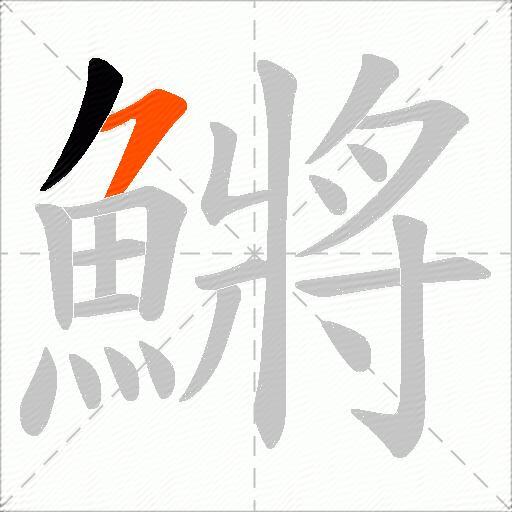 鱂