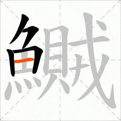 鱡