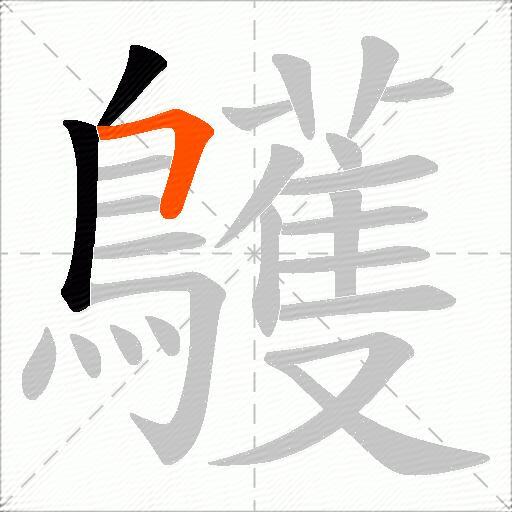 鸌