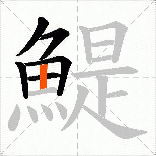 鯷
