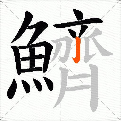 鱭