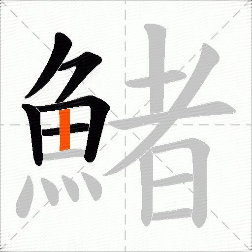 鯺